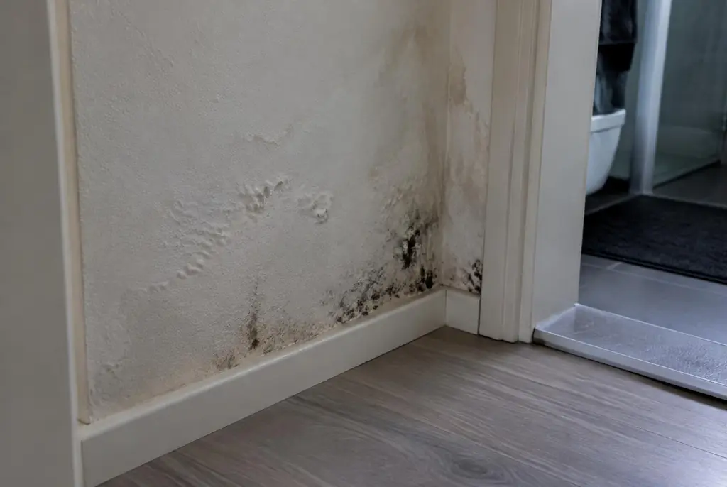 Lekdetectie Amerongen – vochtplek met schimmel op een muur
